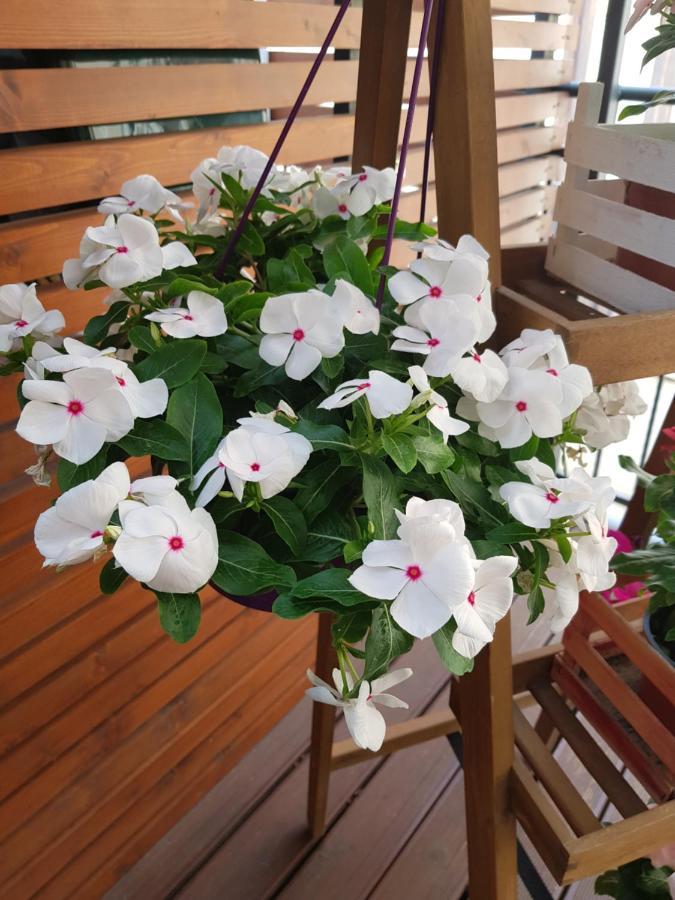 La Terrazza Di Carolina Panzió Agrigento Kültér fotó